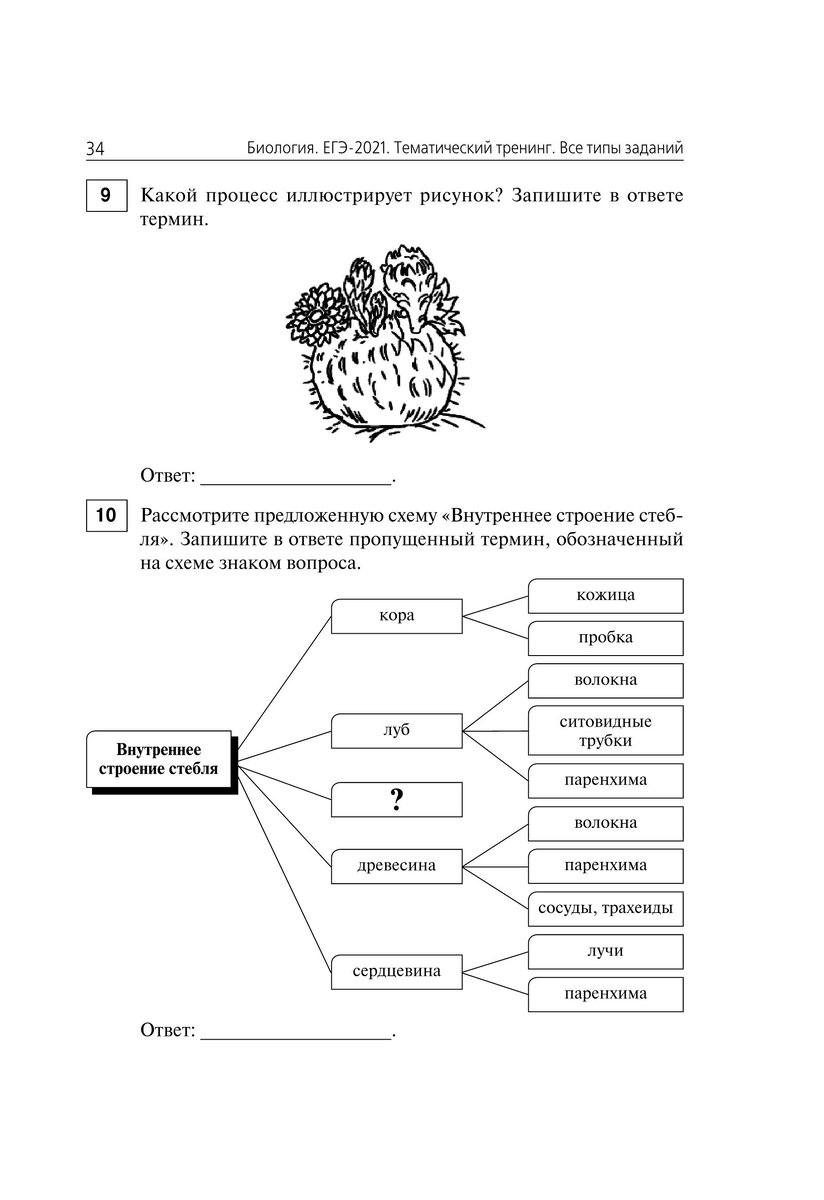 Картинка из интернета.