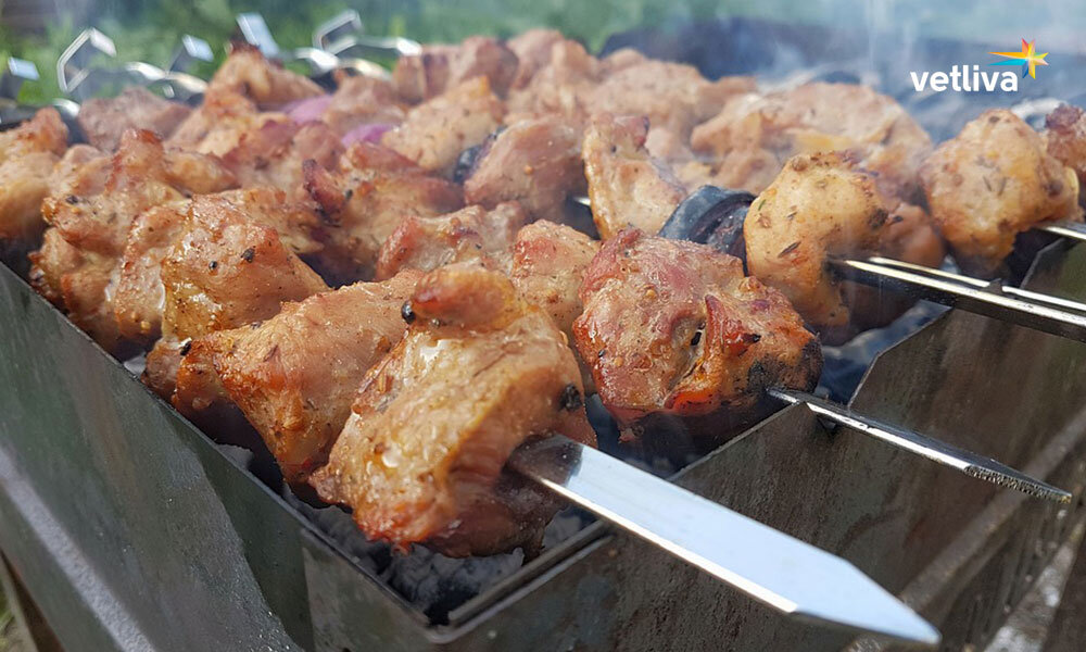 Жарим шашлыки в Минске вместе с VETLIVA!