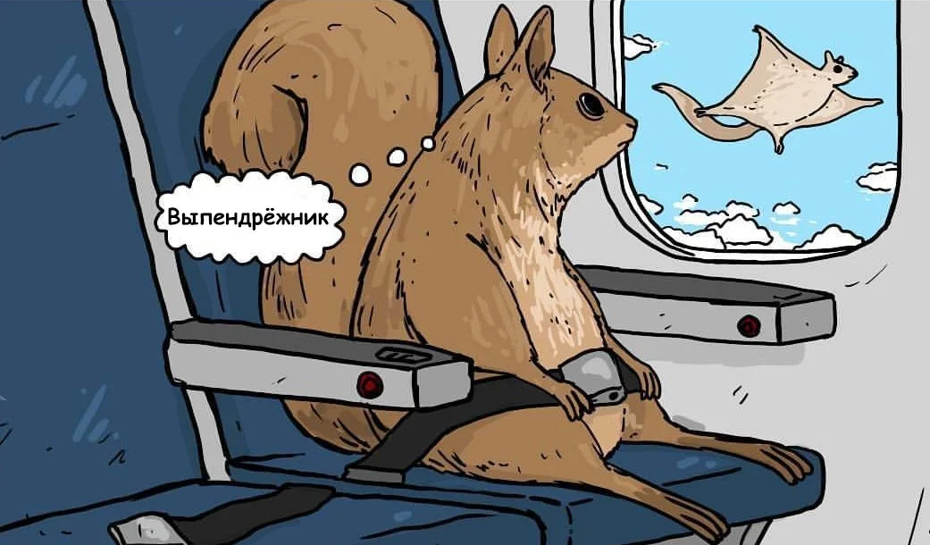 Смешное путешествие. Путешествие цитаты прикольные. Прикольные про путешествия. Прикольные про путешествия. Прикольные про путешествия.