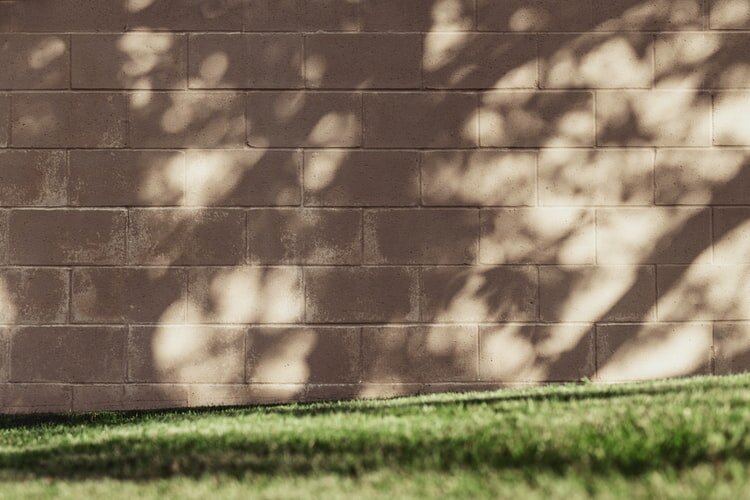 Tim Mossholder, from Unsplash.com.