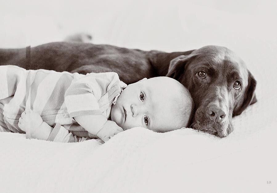 Роль воспитания