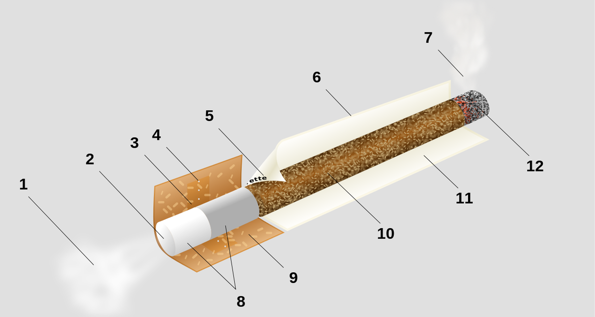 Как сделать бумагу из табака. Строение сигареты с фильтром. Строение табачной сигареты. Из чего состоит фильтр сигареты. Сигарета в разрезе.