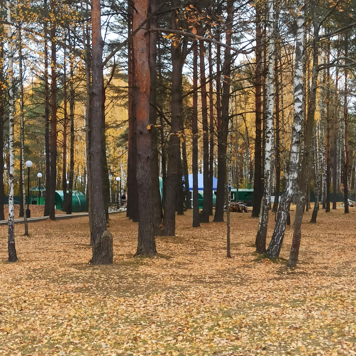 К чему нужно быть готовым, когда едешь отдыхать в белорусский санаторий  осенью. Знакомой из России пришлось уехать через день | ПАПА АНДРЕЙ | Дзен