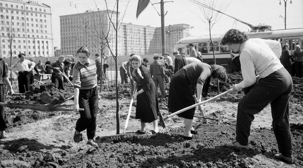 Ну как-то так