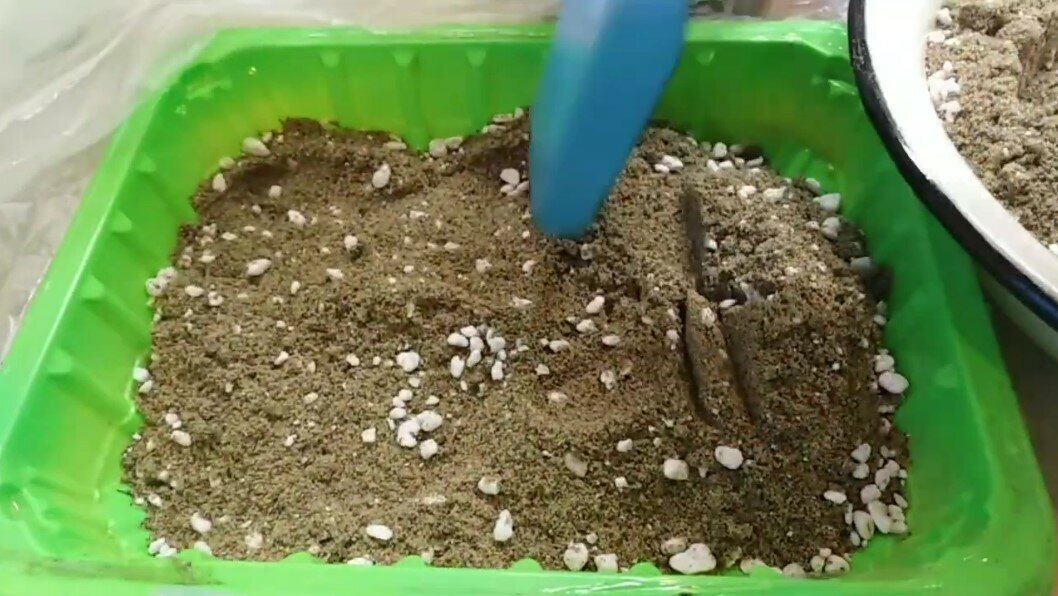 Добавьте описание