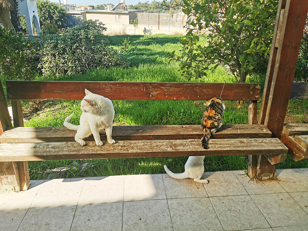 Фото автора