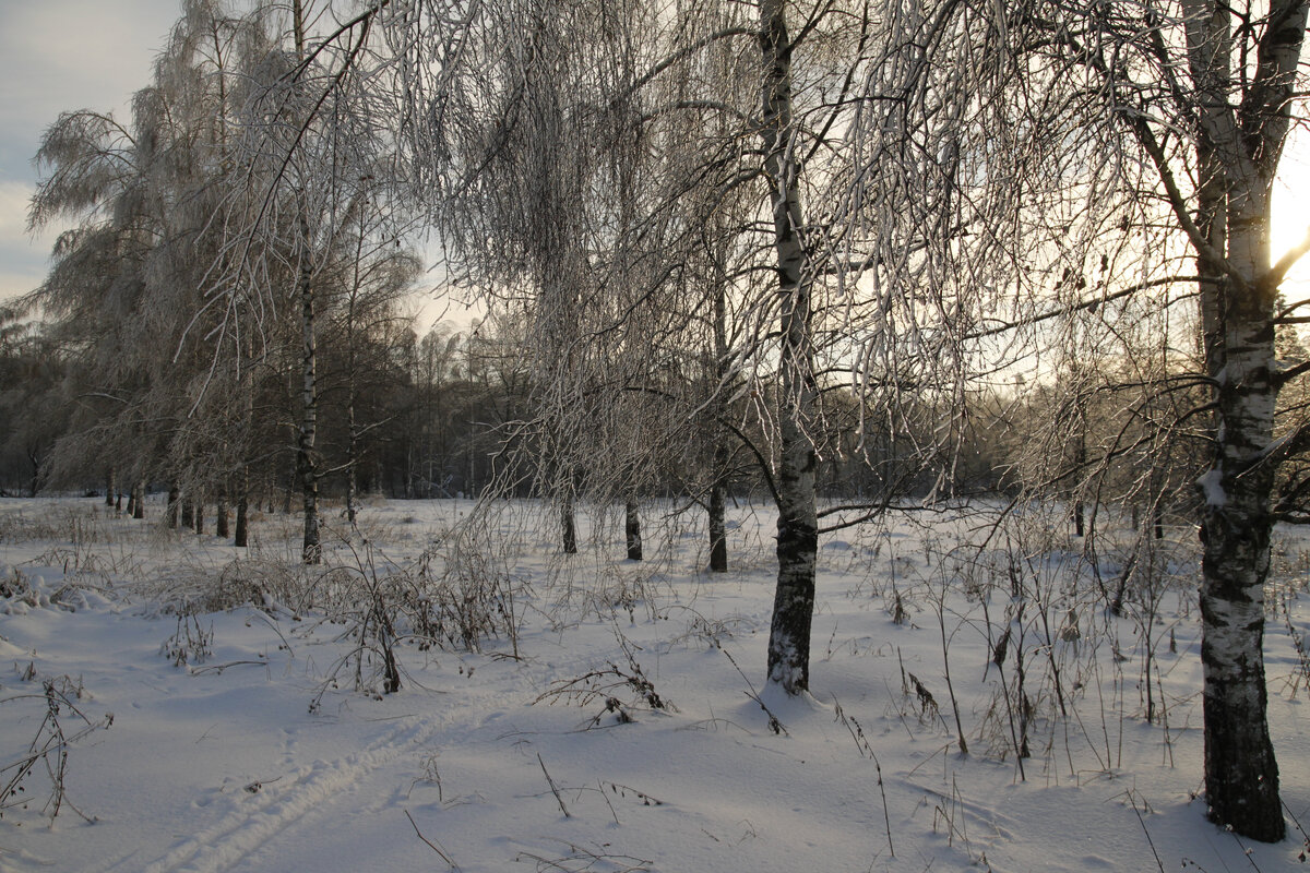 Зима в Лотошине. Фото автора