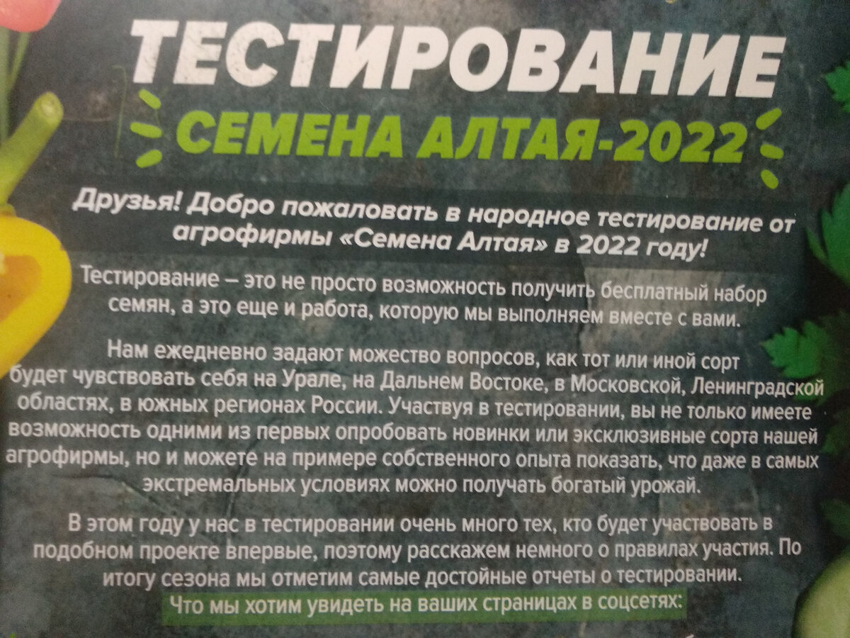 Я из числа тех, кто участвует впервые. Фото автора