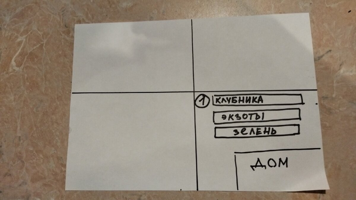 Как грамотно распланировать грядки в огороде, чтобы урожай не мельчал и  было легко соблюдать севооборот (схема) | Маленький сад на краю Вселенной |  Дзен