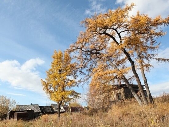 ФОТО: VK.COM МАРИНА ТРЕСКОВА