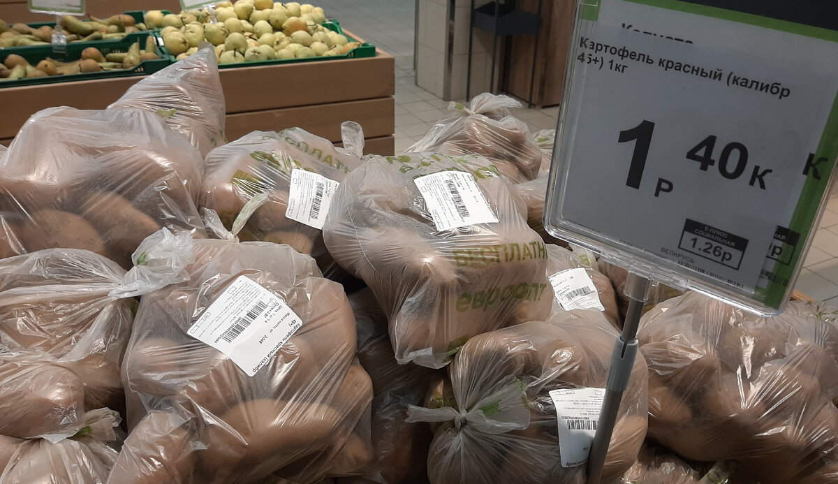 Фото автора. Картофель для белорусов - второй хлеб.