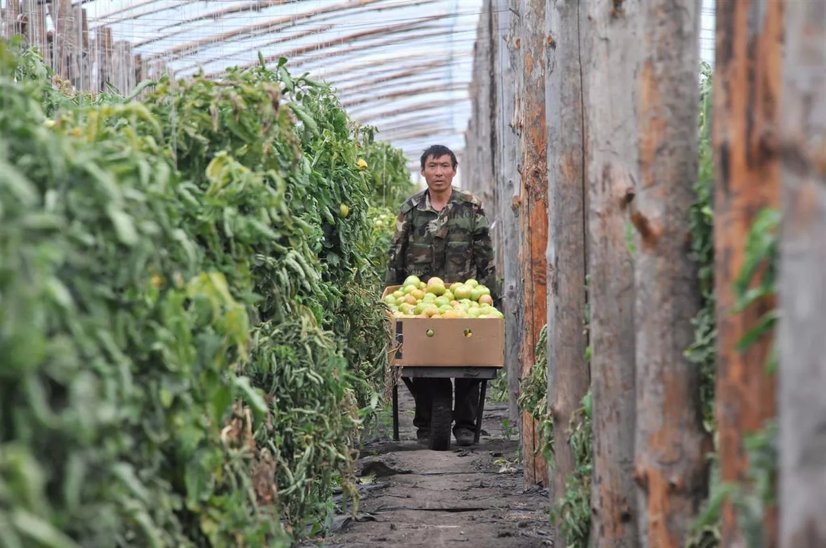 Источник: pro-dachnikov.com