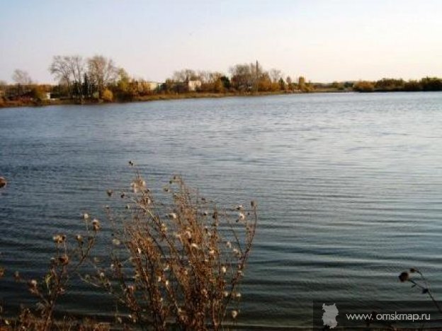 Фото взято из открытого источника