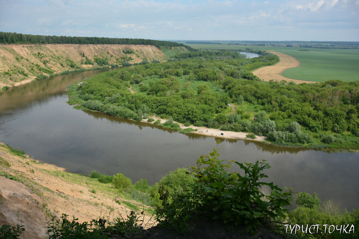 Кривоборье в Воронежской области: красота природы у трассы М4-Дон |  ТУРИСТОЧКА | Дзен