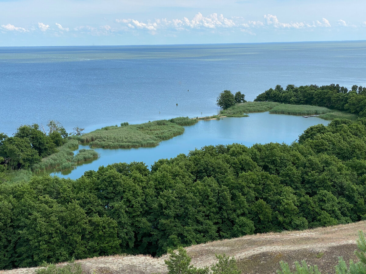 озеро чайка на куршской косе