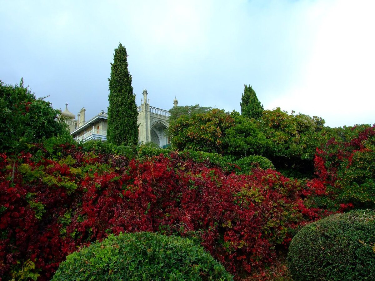 алупкинский парк в крыму