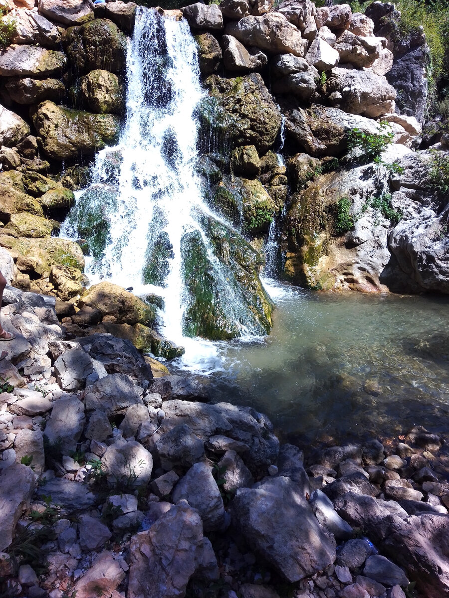 Фото Дмитрий Соколов