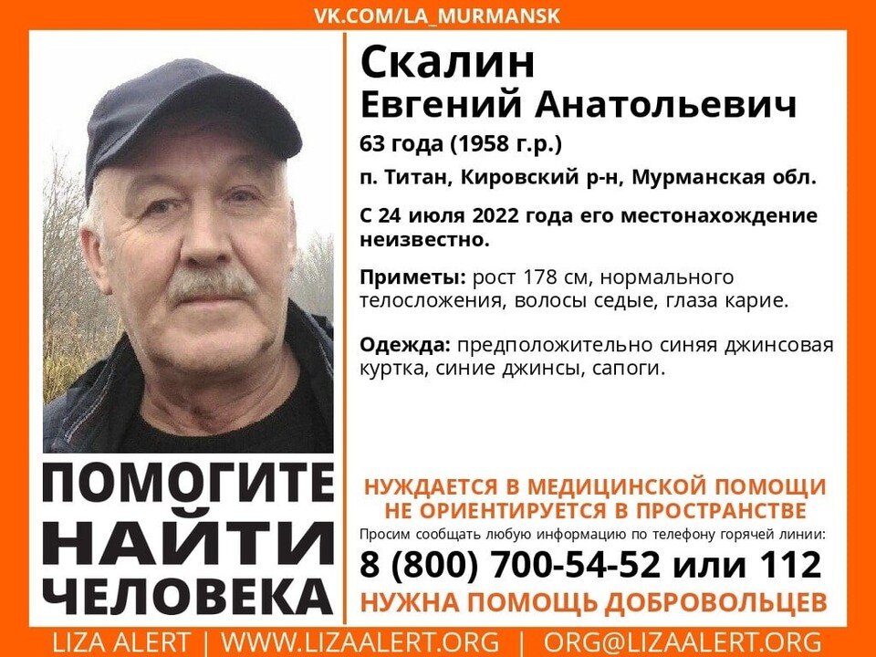     Всех, кто может помочь с поисками, просят позвонить в поисково-спасательный отряд "ЛизаАлерт" 8-800-700-54-52. Фото: vk.com/la_murmansk