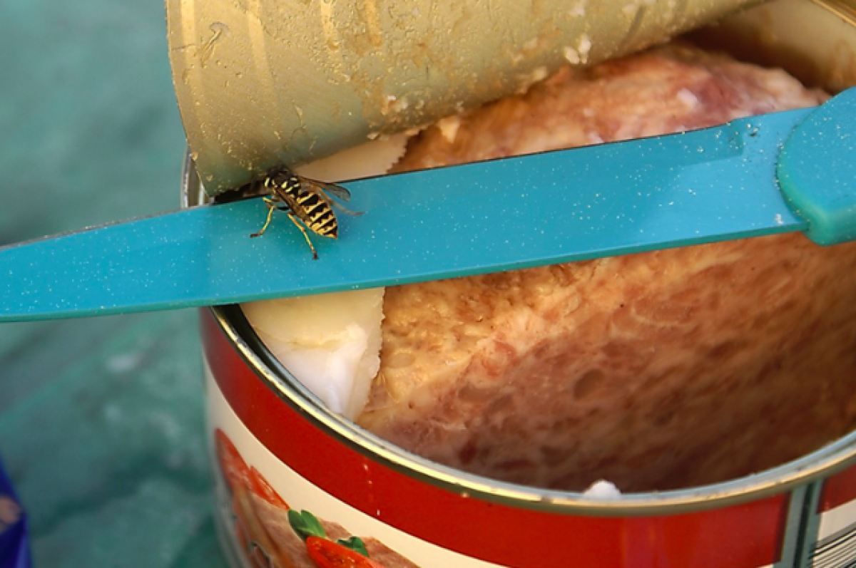    В пермский военный институт Росгвардии привезли 5 тонн просроченной тушёнки