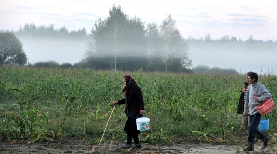     Фото: архив КП
