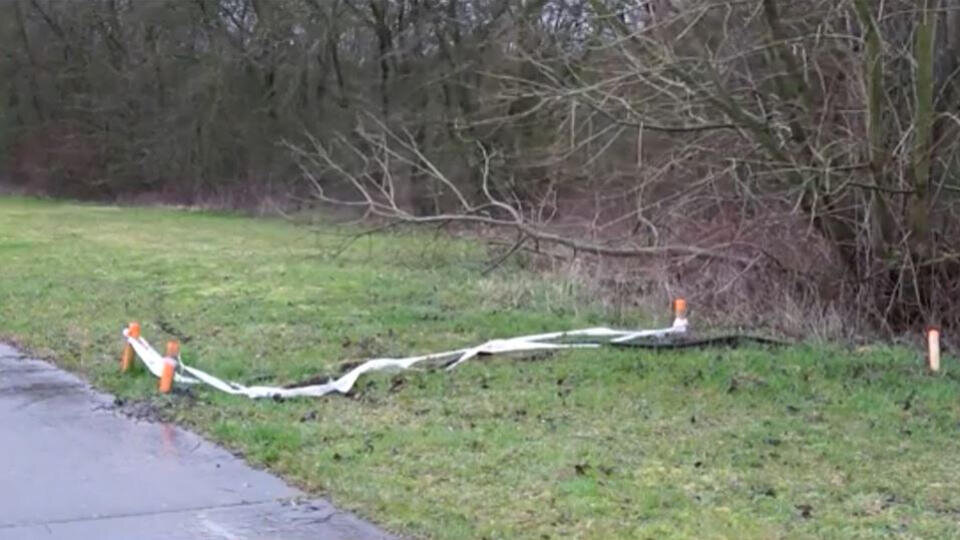 Фото: © Скриншот видео