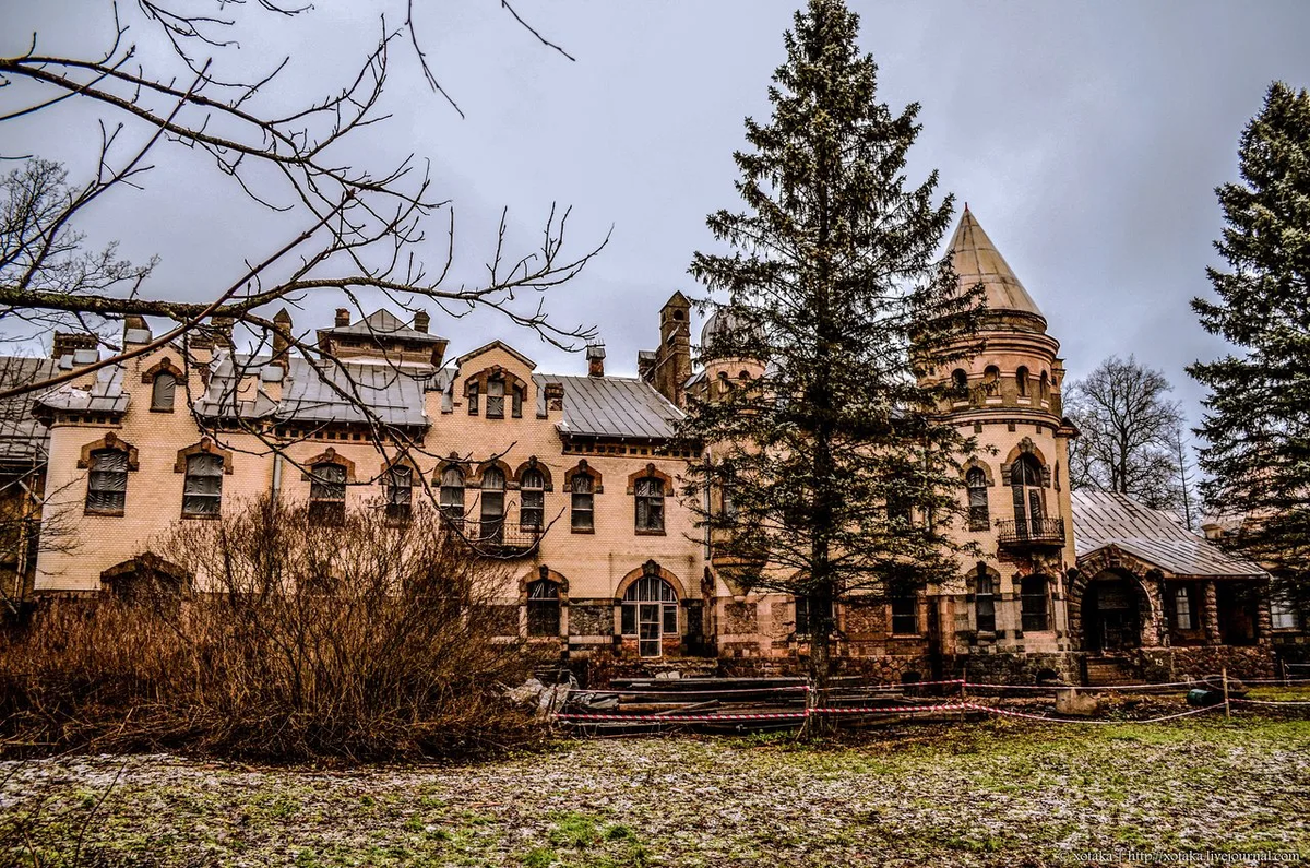 Белогорка гатчинский район фото