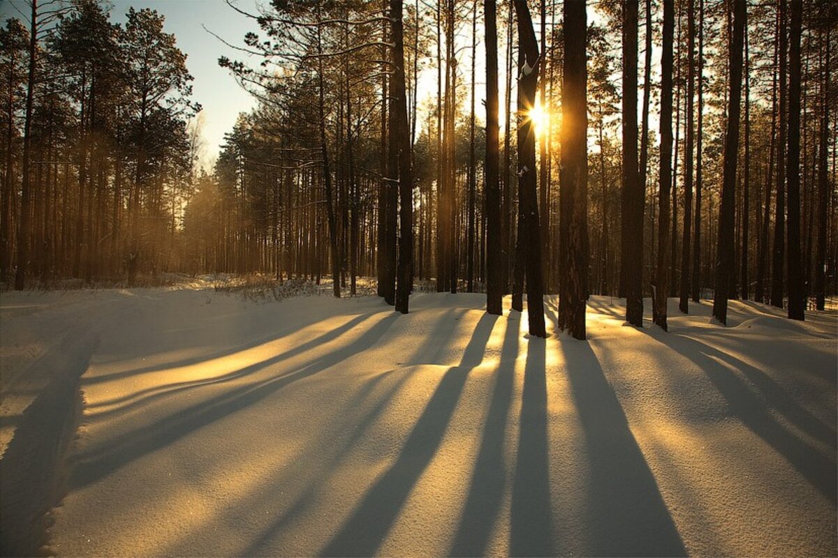 22 Февраля народный календарь