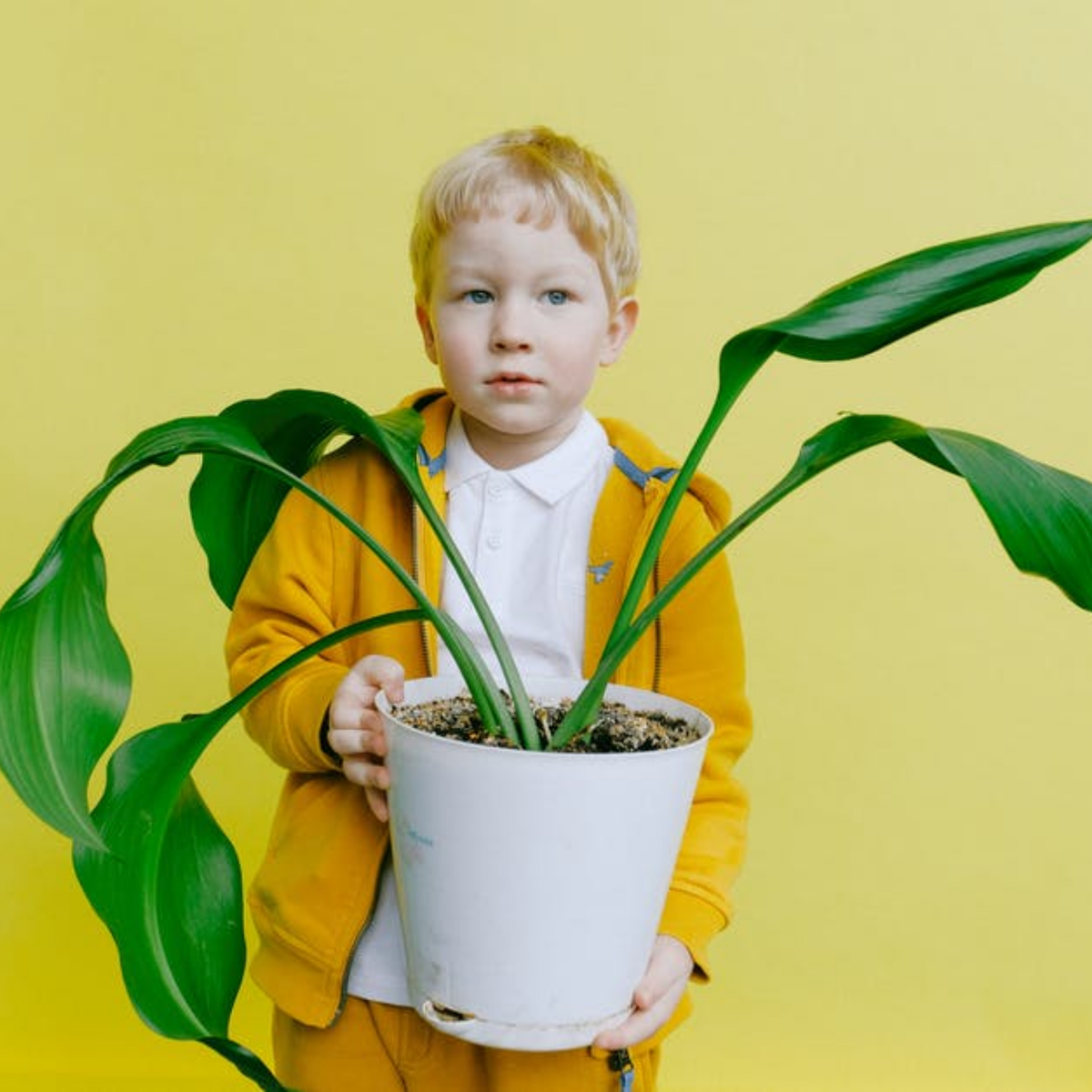 Источник: pexels.com