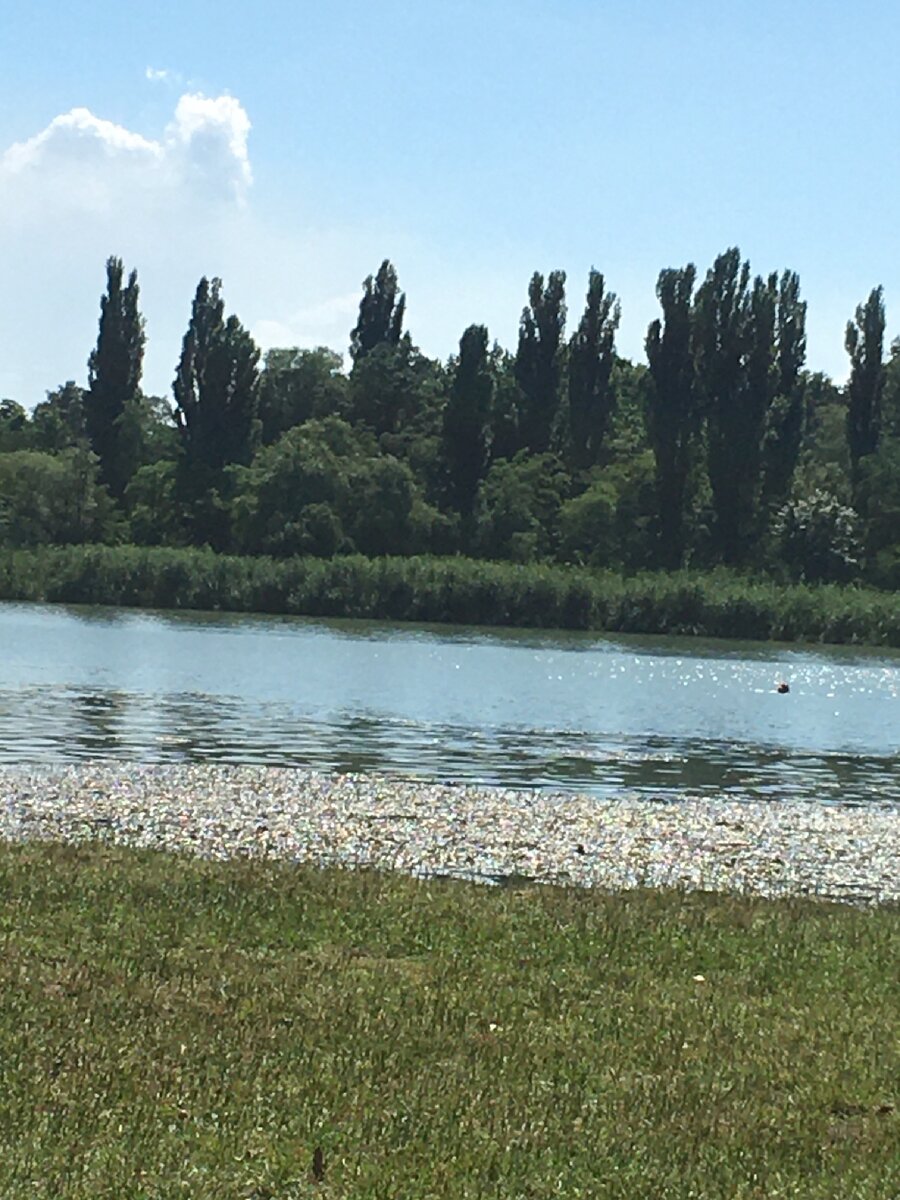 Природа огонь