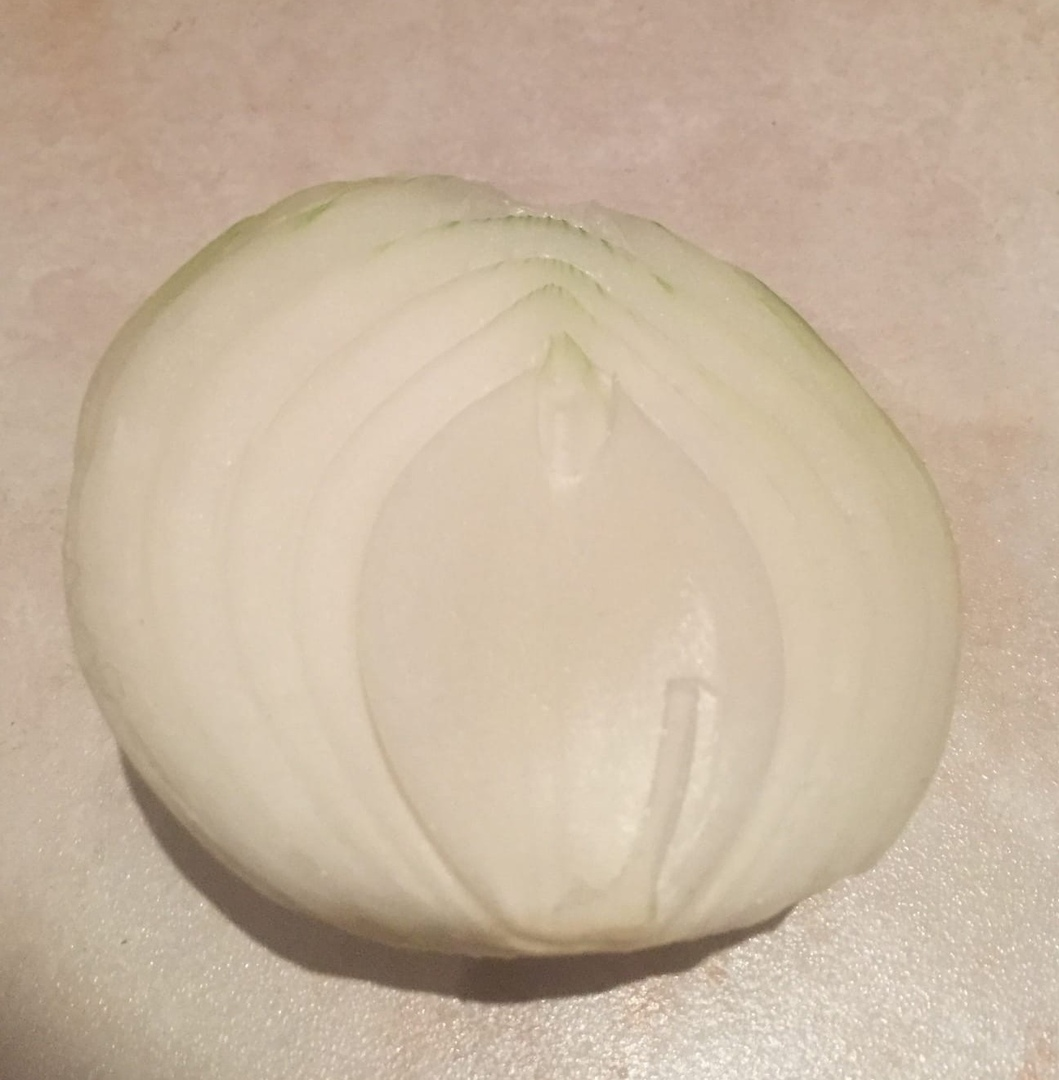 Лук репчатый.