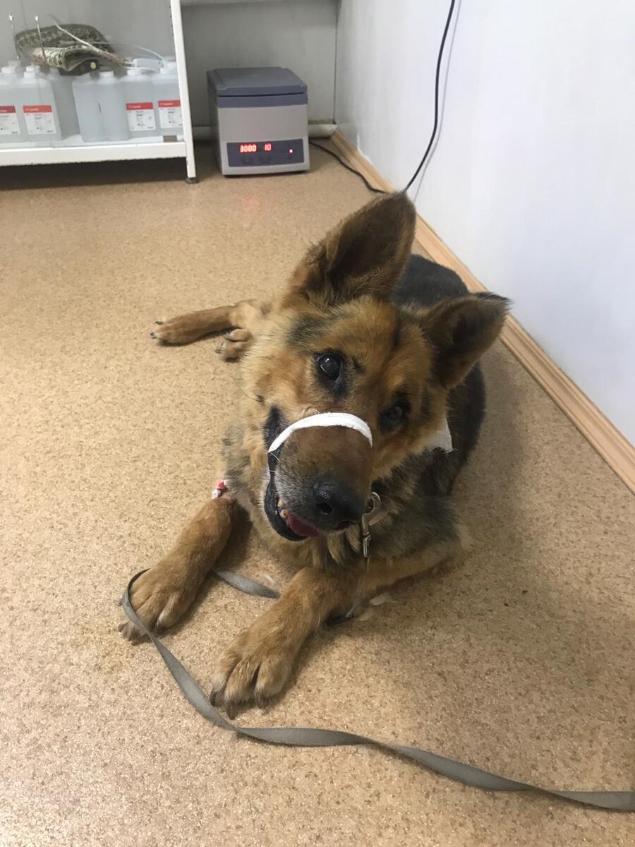 Джесси в клинике