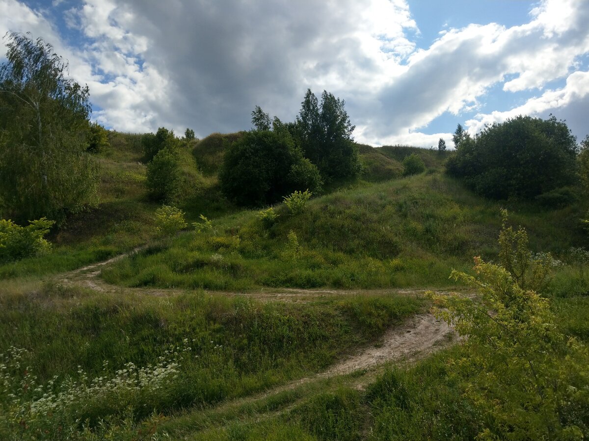 Сумская область. Сумская область село. Печище (Сумская область). Село калюжни Сумская область. Село смелое Сумской области.