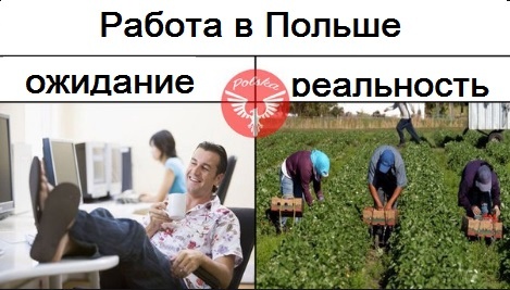 Некоторые представляют себе работу в Польше так:)