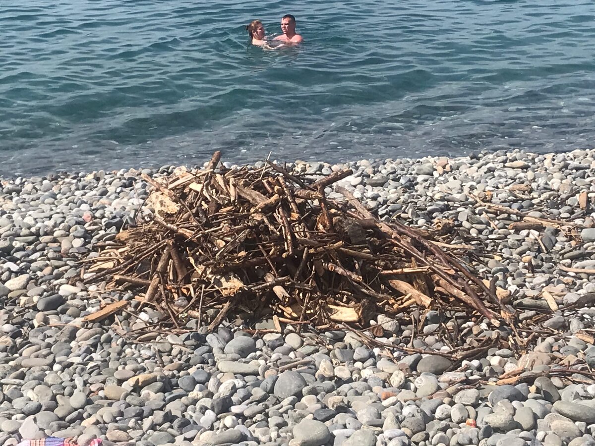 На самом пляже  кучи  и облмков древесины понятно  что их  принесло в море