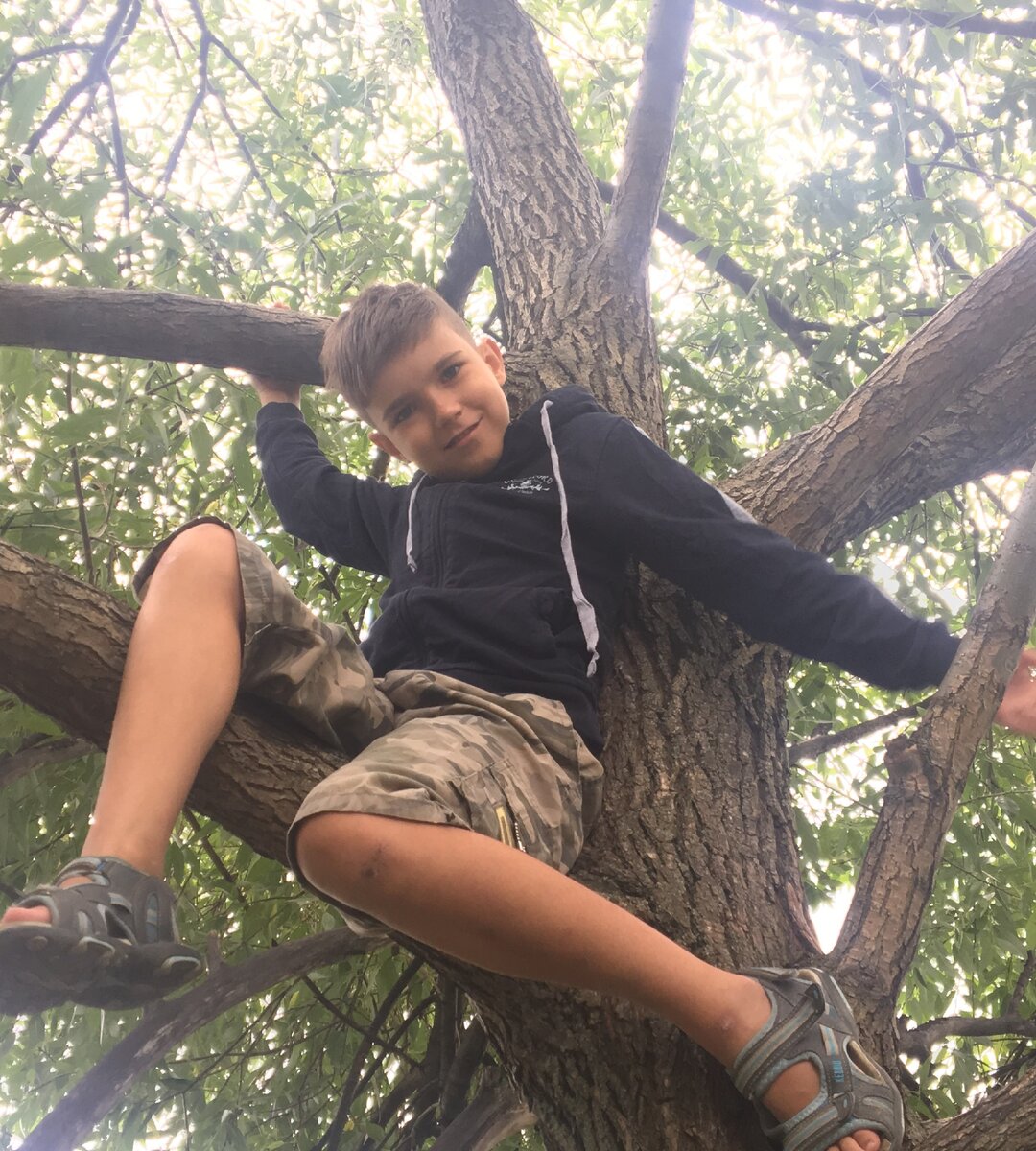 Отпускать лазить высоко по деревьям очень страшно. Фото автора канала "Мама в бигуди" https://zen.yandex.ru/rastimdetej