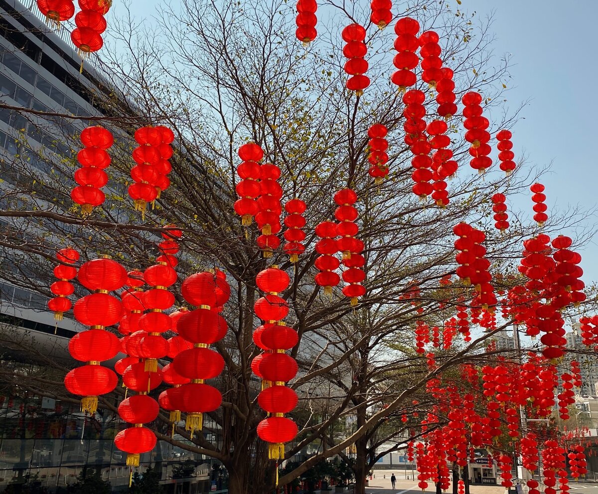 Январский Шэньчжень