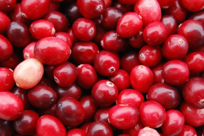 Клюква — одна из самых полезных ягод