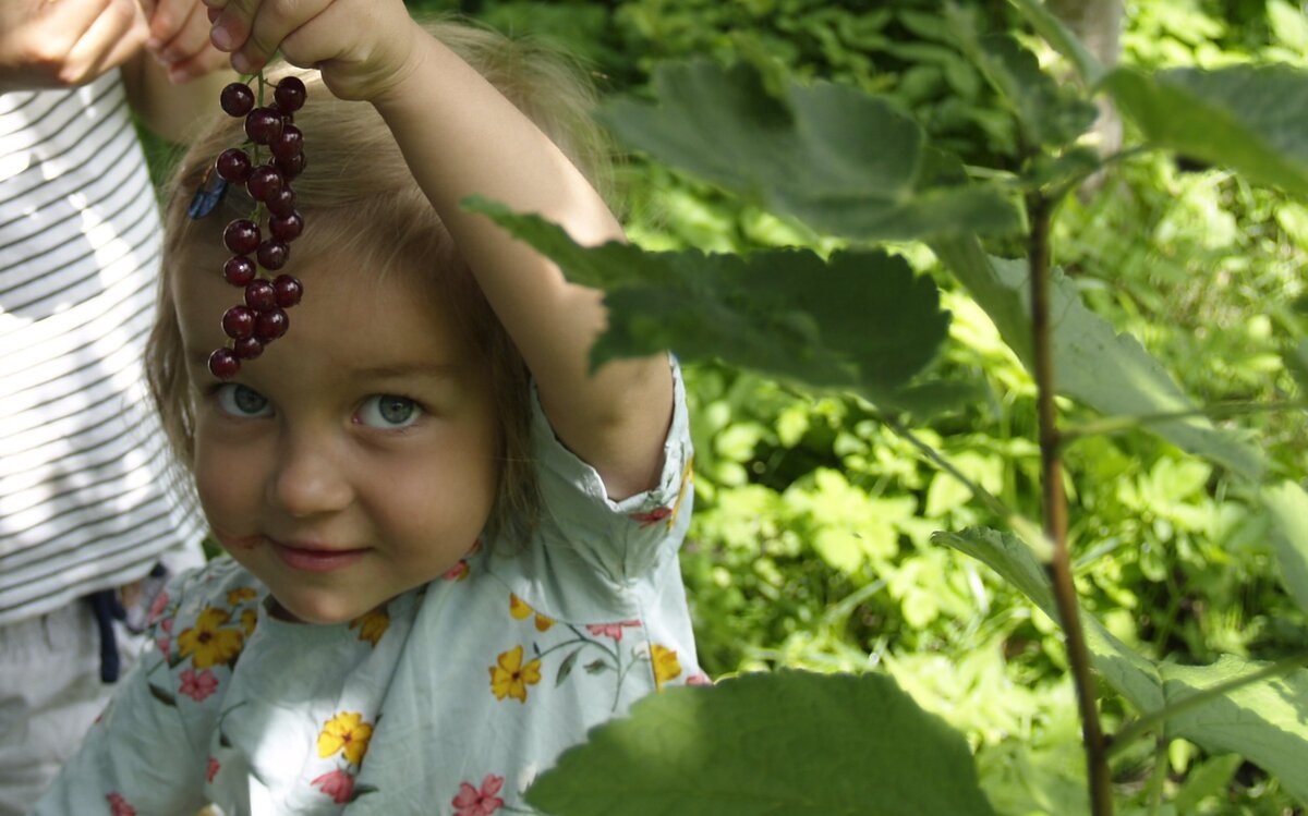 Да, лето состоит из привычных обрядов, для каждого есть свое привычное время и свое привычное место.Рей Бредбери