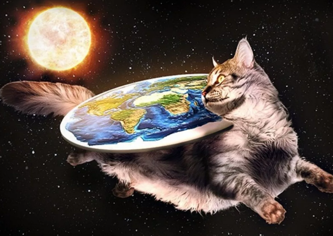 Плоская Земля на спине у котика. Почему бы нет?