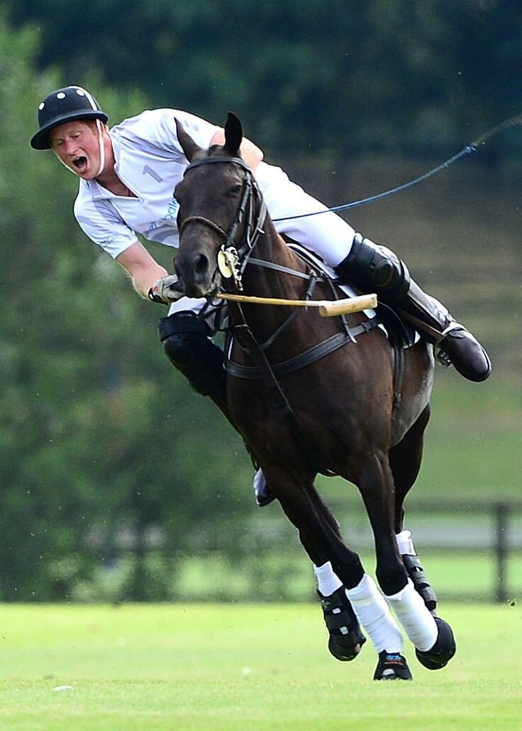 Принц Гарри страстный поклонник игры в поло.