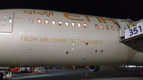 Самолет из Эмиратов в Бен-Гурионе. Фото: Генри Петров