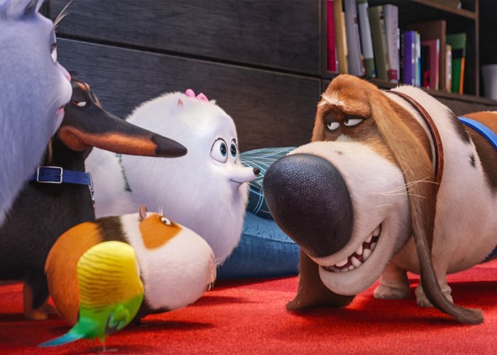 
Кадр из мультфильма «The Secret Life of Pets»./ Фото: kinomania.ru
