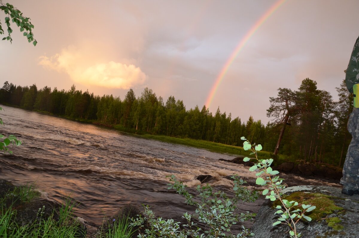 прекрасная дикая природа Карелии