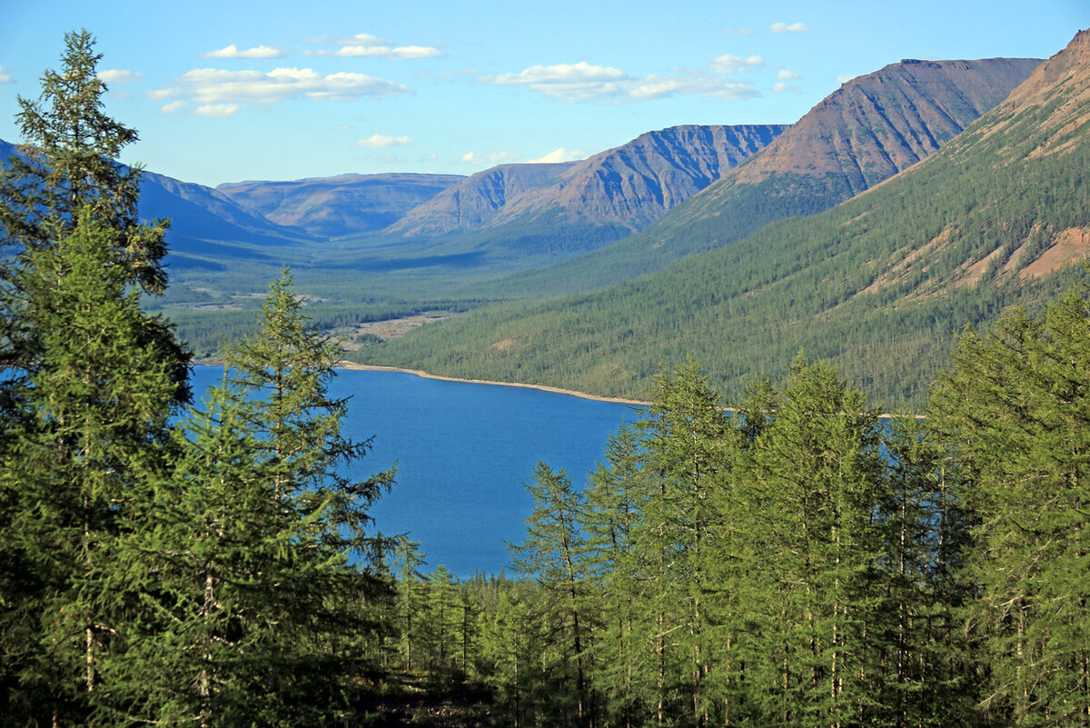 Северная Тайга Красноярского края