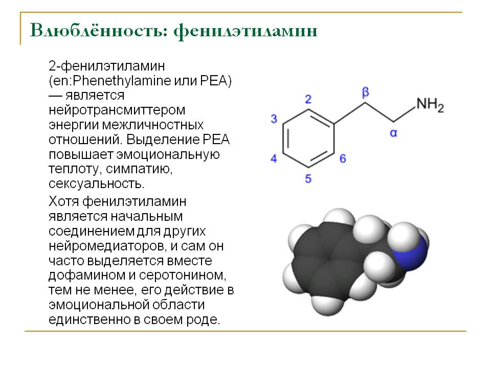 Гормон отвечающий за влюбленность. Фенилэтиламин формула химическая. 2-Фенилэтиламин формула химическая. 2 Фенилэтиламин структурная формула. Фенилэтиламин структурная формула.