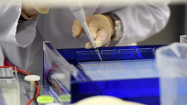  Состояние второй группы участников испытаний вакцины от коронавируса, проводимых Минобороны совместно с Национальным исследовательским центром эпидемиологии и микробиологии имени Гамалеи, стабильно хорошее, сообщила пресс-служба военного ведомства.Все добровольцы находятся под постоянным наблюдением медиков: их ежедневно опрашивают, измеряют давление, пульс, температуру, проводят аускультацию и осматривают место введения препарата. Весь спектр лабораторных и инструментальных исследований проводится в соответствии с протоколом необходимых испытаний, добавили в пресс-службе. Сами добровольцы также отметили хорошее самочувствие. Так, военнослужащий-контрактник Иван заявил, что сейчас чувствует себя хорошо, хотя отсутствие изменений в организме в первые дни после введения вакцины настораживало его.Другой доброволец, военный врач из Севастополя Станислав, охарактеризовал свое самочувствие как отличное."Температура в норме, пожаловаться не на что. Настроение отличное, и оно улучшается с каждым днем, потому что я понимаю, что вернусь к любимой жене и детям", — сказал он.Еще один участник эксперимента признался, что "подустал", но отметил, что в этом нет "ничего страшного"."После укола ничего не болит, ни температуры не было, ни давление не подскочило. Ничего, все вообще хорошо было. Я очень был удивлен и рад этому. И сейчас, когда прошло две недели, у меня самочувствие до сих пор очень хорошее и ничем не отличается", — добавил он. На следующей неделе, по прошествии 21 дня после первой вакцинации, участникам эксперимента из второй группы введут второй компонент вакцины. Это так называемый бустерный вариант вакцинации, благодаря которому будут дополнительно усилены защитные функции организма.Параллельно с этими испытаниями идет тестирование в Сеченовском университете. Кроме того, гендиректор центра "Вектор" Ринат Максютов сообщал РИА Новости, что на предприятии завершились исследования трех созданных там прототипов вакцины. 