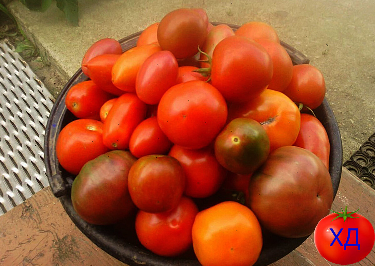 Ведро переполнено