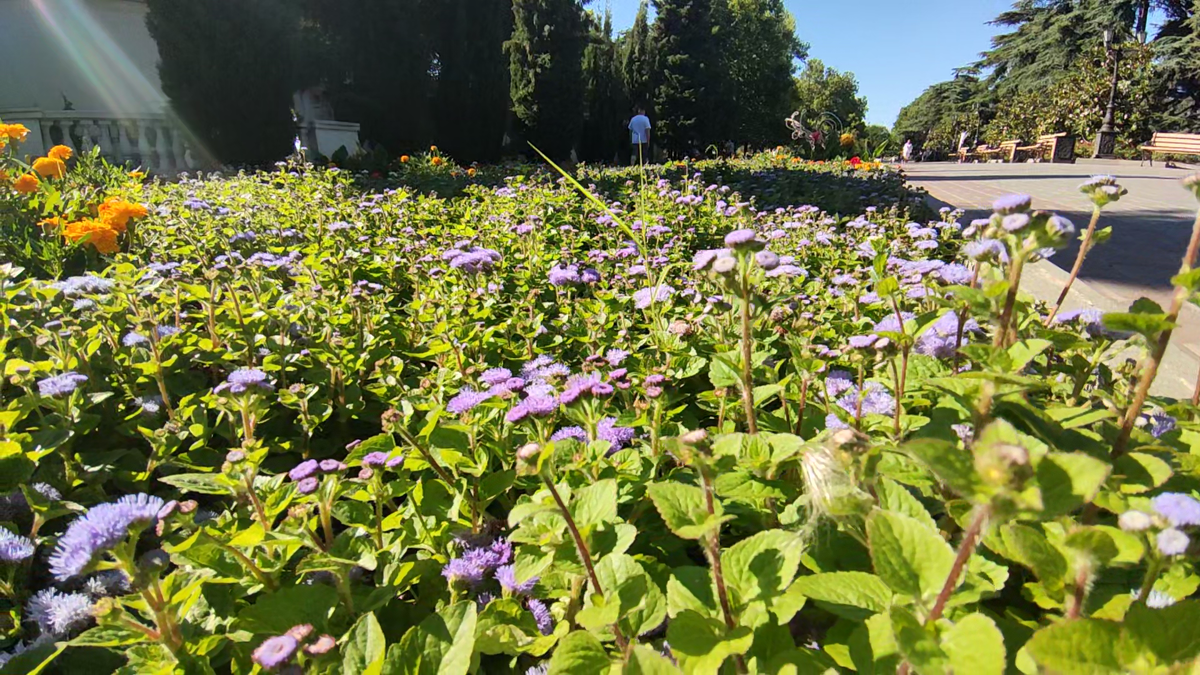 А как вам эта прелесть?