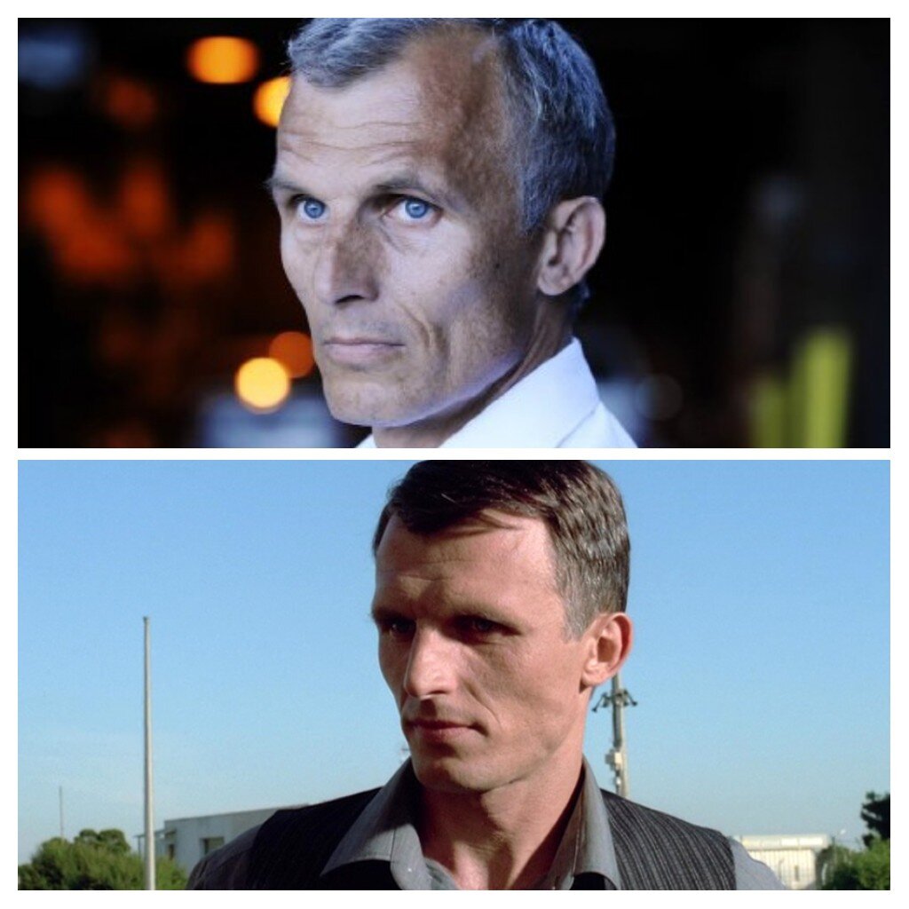 Коллаж автора
