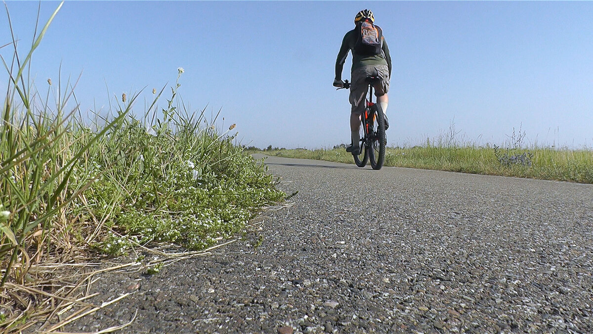 С какой скоростью едет горный велосипед? Сравнение колес 27,5" с 26 ...